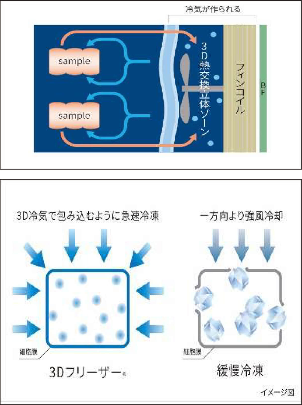 3Dフリーザー
